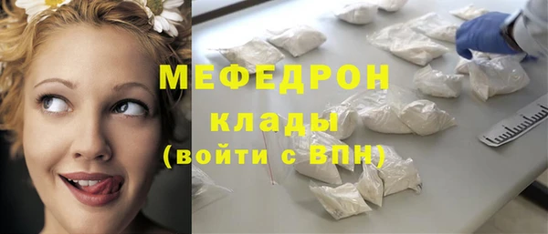 индика Арсеньев