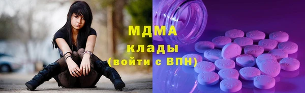 индика Арсеньев