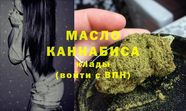индика Арсеньев