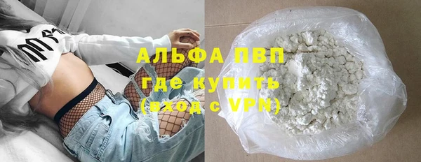 индика Арсеньев