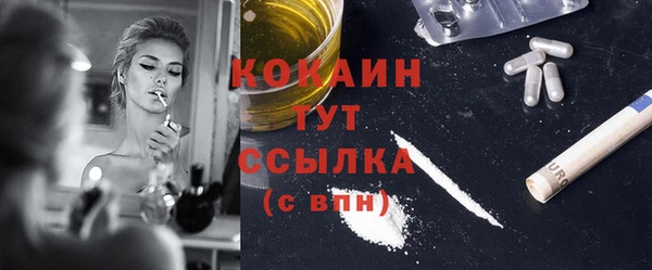 индика Арсеньев