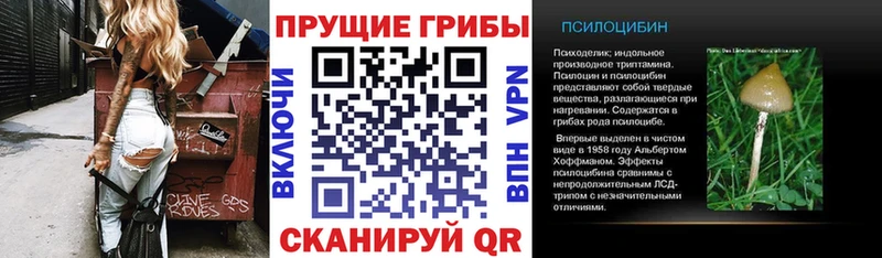 Псилоцибиновые грибы Psilocybine cubensis  Вилючинск 